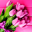 Тюльпаны-на-8-марта-700x394